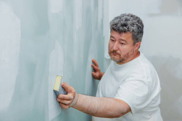 Mold Odor Removal Services in Chena Ridge, AK